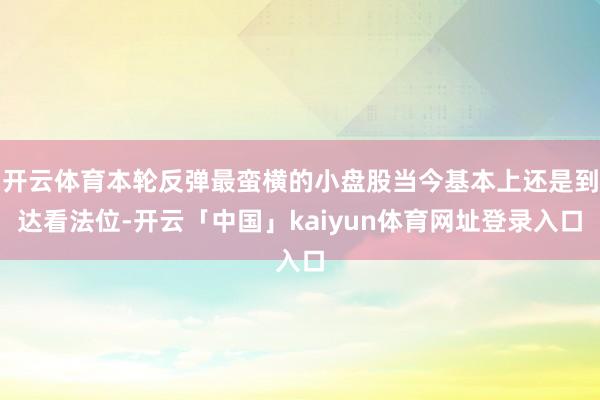 开云体育本轮反弹最蛮横的小盘股当今基本上还是到达看法位-开云「中国」kaiyun体育网址登录入口