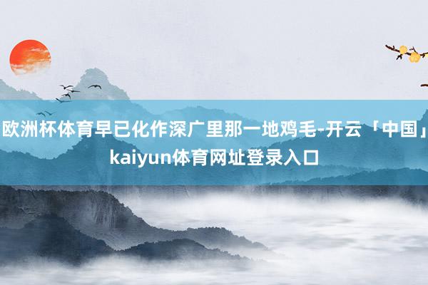 欧洲杯体育早已化作深广里那一地鸡毛-开云「中国」kaiyun体育网址登录入口