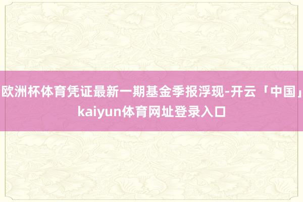 欧洲杯体育凭证最新一期基金季报浮现-开云「中国」kaiyun体育网址登录入口