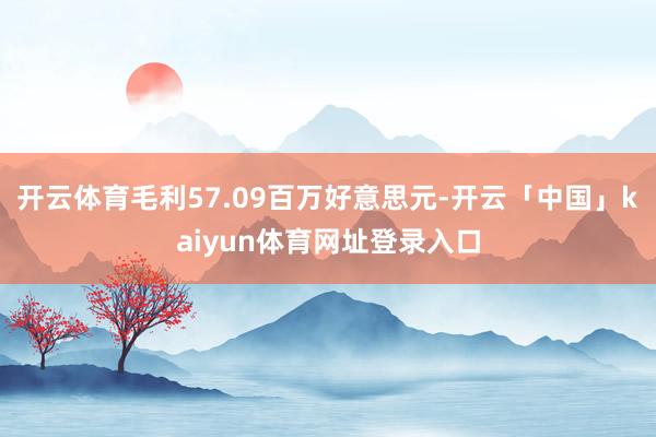 开云体育毛利57.09百万好意思元-开云「中国」kaiyun体育网址登录入口