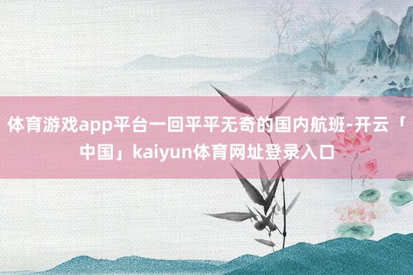 体育游戏app平台一回平平无奇的国内航班-开云「中国」kaiyun体育网址登录入口