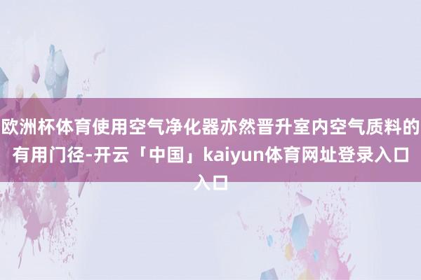 欧洲杯体育使用空气净化器亦然晋升室内空气质料的有用门径-开云「中国」kaiyun体育网址登录入口