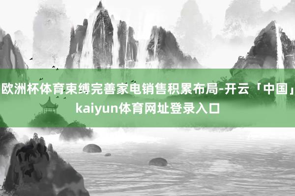 欧洲杯体育束缚完善家电销售积累布局-开云「中国」kaiyun体育网址登录入口