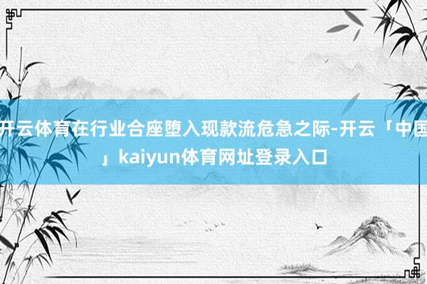 开云体育在行业合座堕入现款流危急之际-开云「中国」kaiyun体育网址登录入口